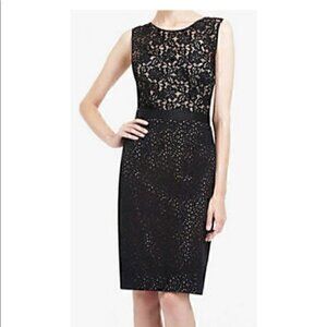 BCBGMaxAzaria Navy Lace Sheath Dress